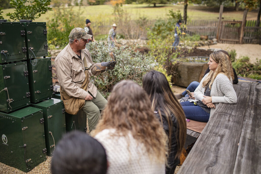 Falconry experience at Post Ranch Inn in Big Sur, California