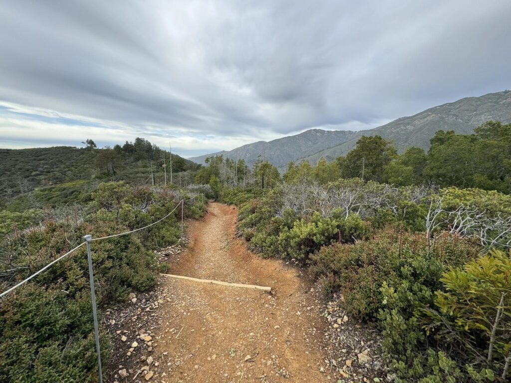 Buzzards Roost Trail