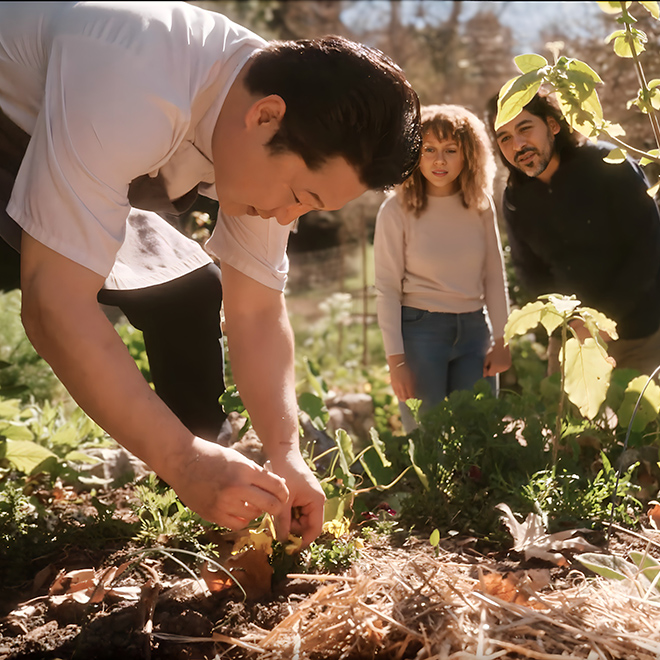 Chef's Garden