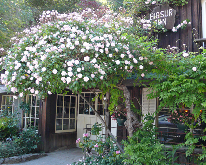 Deetjen's Restaurant