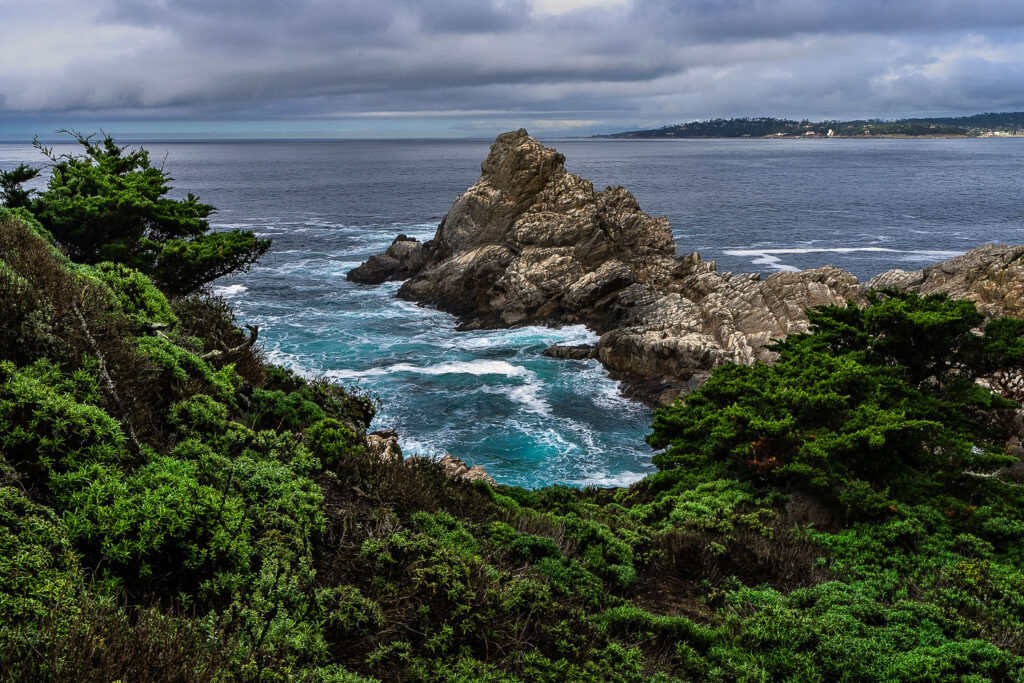 Point Lobos State Natural Reserve