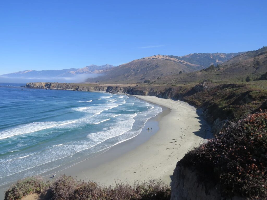 Sand Dollar Beach