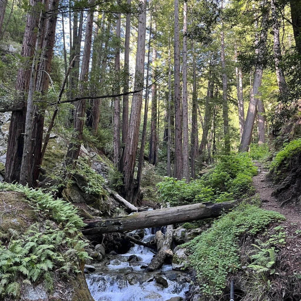 Tanbark to Tin House hiking trail near Big Sur, California